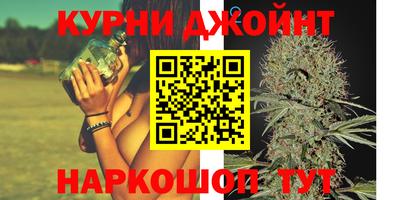 индика Будённовск