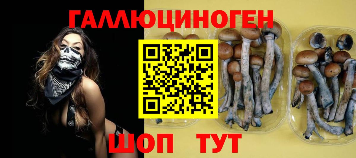 Партизанск  Псилоцибиновые грибы Magic Shrooms  Вход с VPN  Псилоцибиновые грибы Magic Shrooms 